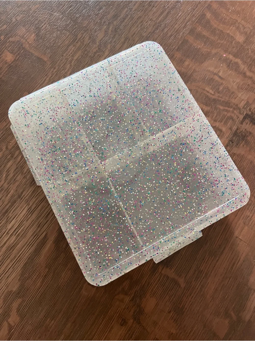 Pottery Barn Kids Confetti Glitter Divided Lunch Box Bento Container with Lid